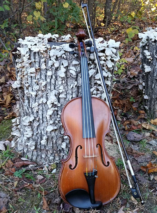 Violin on log